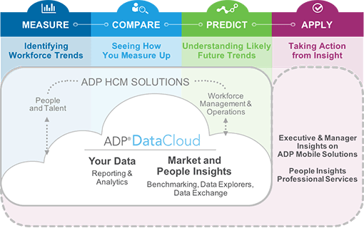 DataCloud Use HCM Analytics Infograhpic